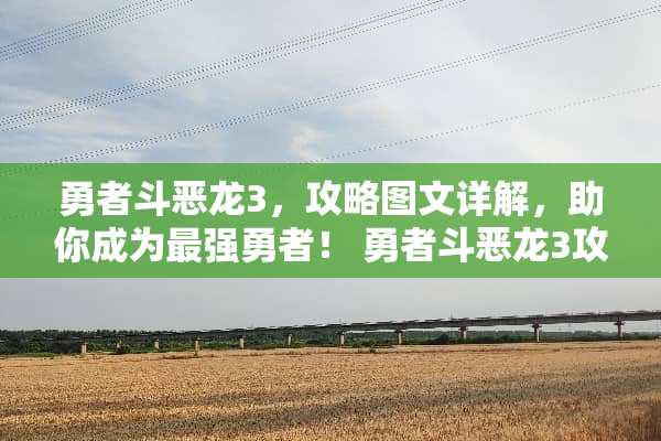 勇者斗恶龙3，攻略图文详解，助你成为最强勇者！ 勇者斗恶龙3攻略图文
