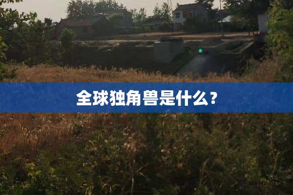 全球独角兽是什么？