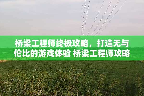 桥梁工程师终极攻略,打造无与伦比的游戏体验 桥梁工程师攻略 桥梁工程师终极攻略,打造无与伦比的游戏体验 桥梁工程师攻略
