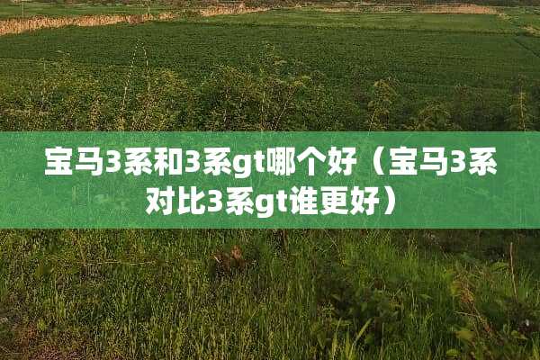 宝马3系和3系gt哪个好（宝马3系对比3系gt谁更好）