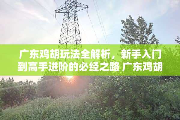 广东鸡胡玩法全解析,新手入门到高手进阶的必经之路 广东鸡胡玩法 广东鸡胡玩法全解析,新手入门到高手进阶的必经之路 广东鸡胡玩法