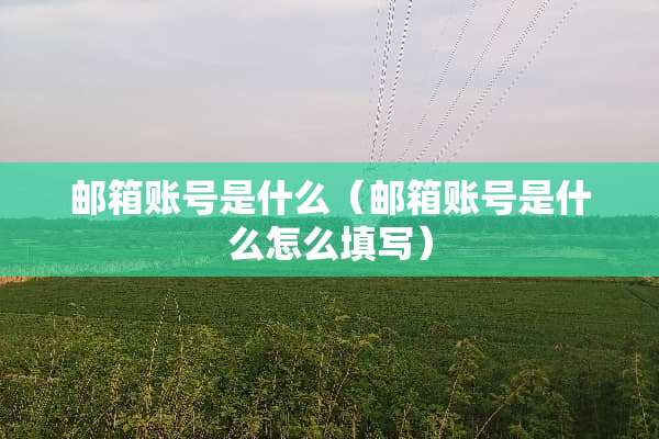 邮箱账号是什么（邮箱账号是什么怎么填写）