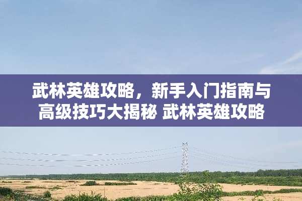 武林英雄攻略，新手入门指南与高级技巧大揭秘 武林英雄攻略