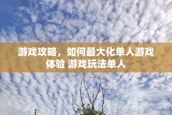 游戏攻略，如何最大化单人游戏体验 游戏玩法单人