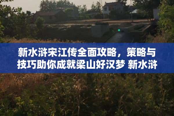 新水浒宋江传全面攻略，策略与技巧助你成就梁山好汉梦 新水浒宋江传攻略