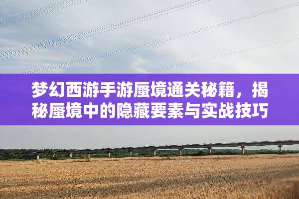 梦幻西游手游蜃境通关秘籍，揭秘蜃境中的隐藏要素与实战技巧 梦幻西游手游蜃境攻略