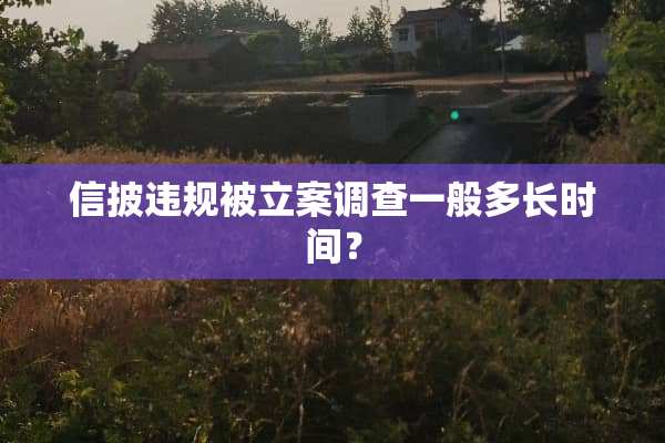 信披违规被立案调查一般多长时间？
