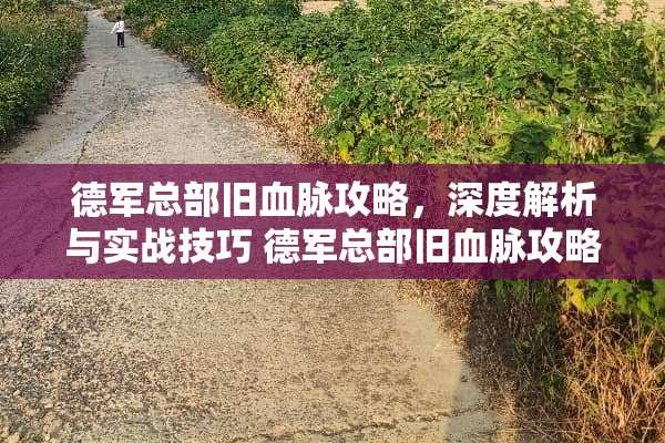 德军总部旧血脉攻略，深度解析与实战技巧 德军总部旧血脉攻略