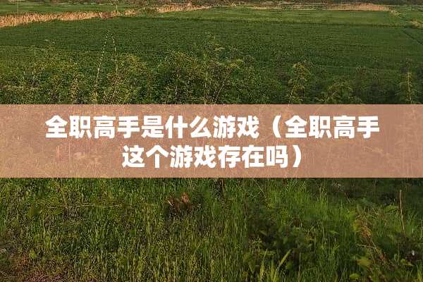 **高手是什么游戏（**高手这个游戏存在吗）
