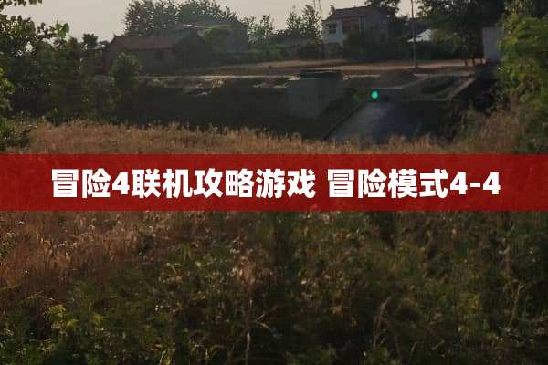 冒险4联机攻略游戏 冒险模式4-4