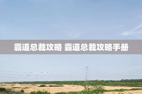 霸道总裁攻略 霸道总裁攻略手册
