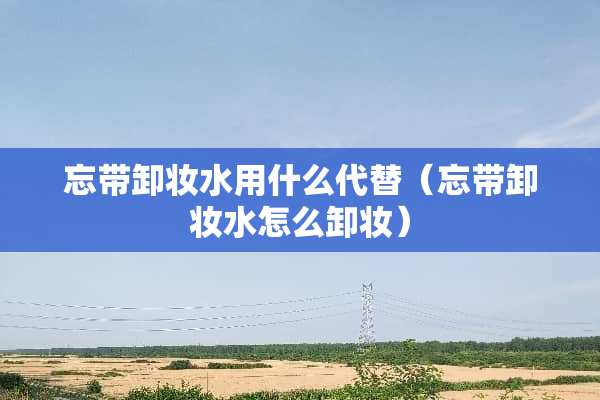 忘带卸妆水用什么代替（忘带卸妆水怎么卸妆）