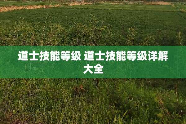 道士技能等级 道士技能等级详解大全