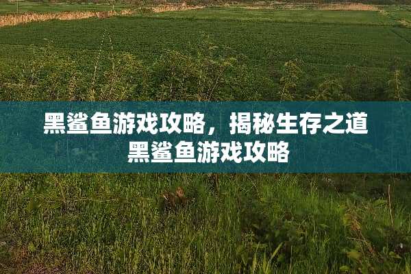 黑鲨鱼游戏攻略，揭秘生存之道 黑鲨鱼游戏攻略