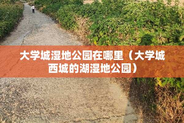大学城湿地公园在哪里（大学城西城的湖湿地公园）