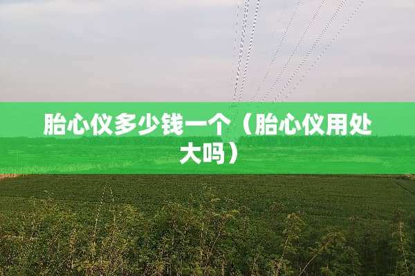 胎心仪多少钱一个(胎心仪用处大吗) 胎心仪多少钱一个(胎心仪用处大吗)