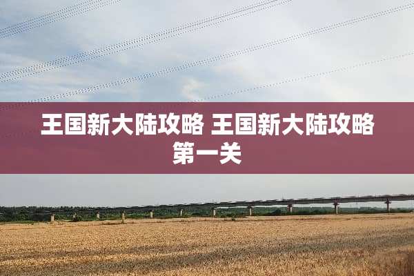王国新**攻略 王国新**攻略第一关 王国新**攻略 王国新**攻略第一关