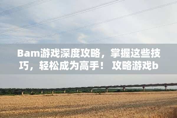 Bam游戏深度攻略，掌握这些技巧，轻松成为高手！ 攻略游戏bam