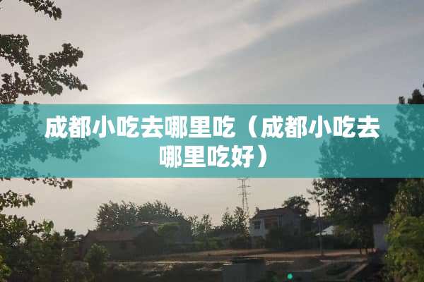成都小吃去哪里吃（成都小吃去哪里吃好）