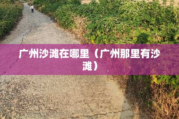 广州沙滩在哪里（广州那里有沙滩）