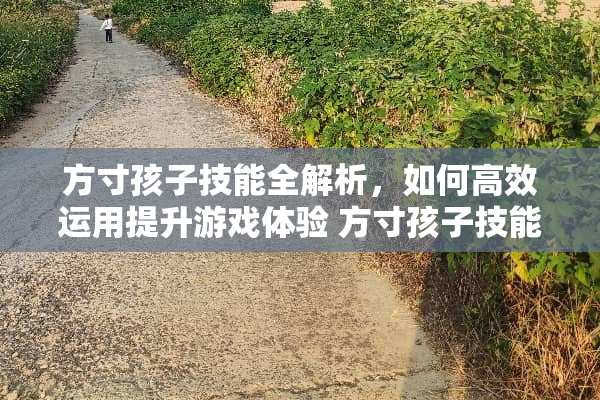 方寸孩子技能全解析，如何高效运用提升游戏体验 方寸孩子技能