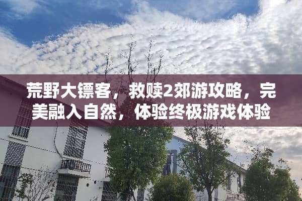 荒野大镖客，救赎2郊游攻略，完美融入自然，体验终极游戏体验 出去郊游攻略游戏