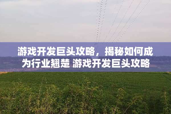 游戏开发巨头攻略，揭秘如何成为行业翘楚 游戏开发巨头攻略