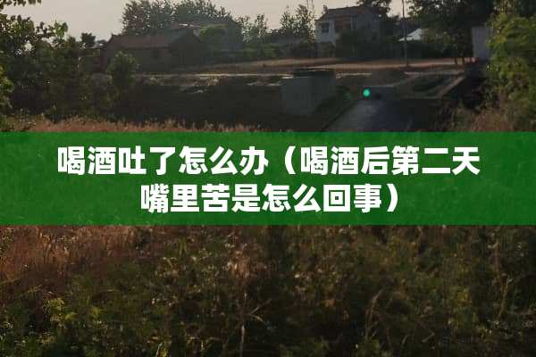 喝酒吐了怎么办(喝酒后第二天嘴里苦是怎么回事) 喝酒吐了怎么办(喝酒后第二天嘴里苦是怎么回事)