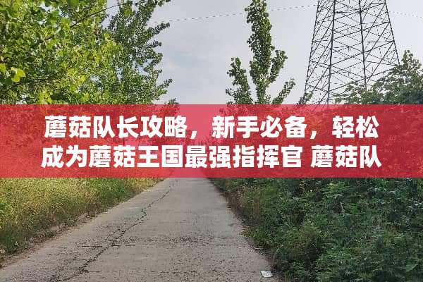 蘑菇队长攻略，新手必备，轻松成为蘑菇王国最强指挥官 蘑菇队长攻略