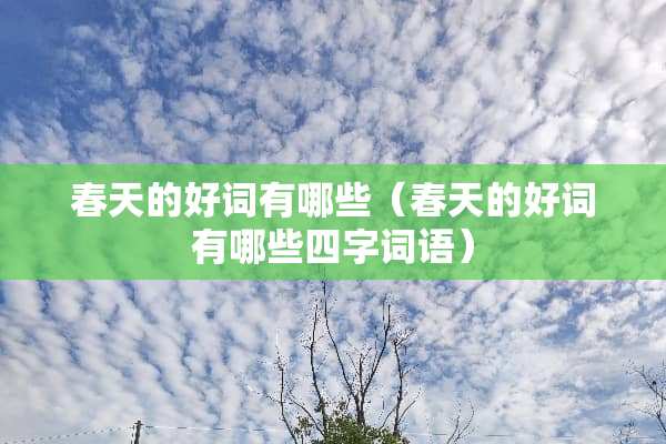 春天的好词有哪些（春天的好词有哪些四字词语）