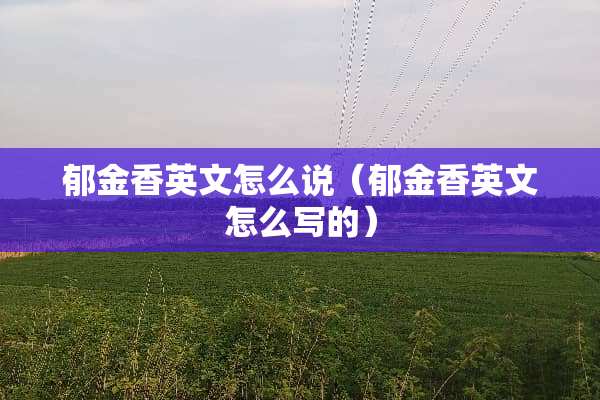 郁金香英文怎么说（郁金香英文怎么写的）
