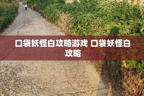 口袋妖怪白攻略游戏 口袋妖怪白 攻略