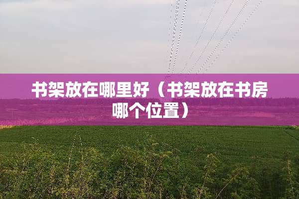 书架放在哪里好（书架放在书房哪个位置）