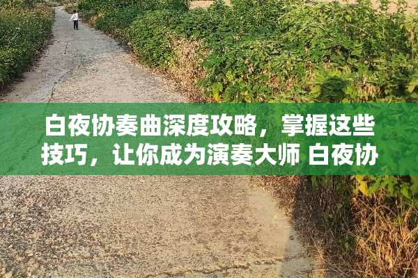 白夜协奏曲深度攻略，掌握这些技巧，让你成为演奏大师 白夜协奏曲攻略