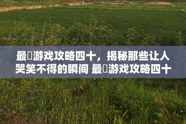 最囧游戏攻略四十，揭秘那些让人哭笑不得的瞬间 最囧游戏攻略四十