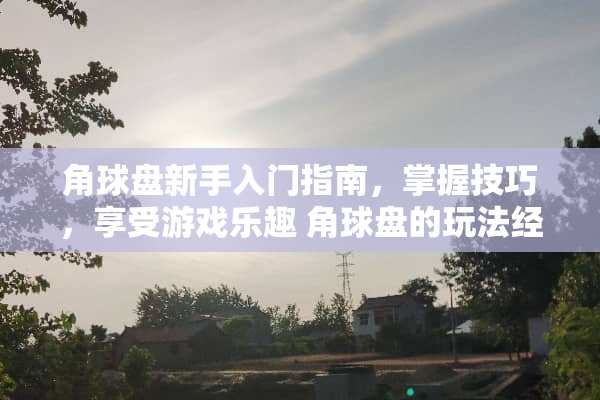 角球盘新手入门指南，掌握技巧，享受游戏乐趣 角球盘的玩法经验