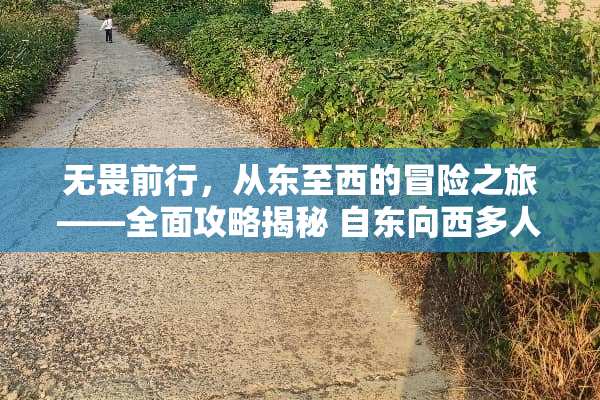 无畏前行，从东至西的冒险之旅——全面攻略揭秘 自东向西多人游戏攻略