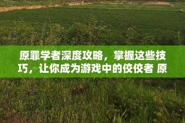 原罪学者深度攻略，掌握这些技巧，让你成为游戏中的佼佼者 原罪学者攻略