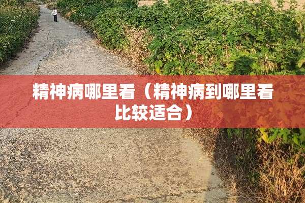 精神病哪里看（精神病到哪里看比较适合）