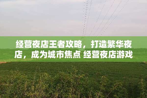 经营夜店王者攻略，打造繁华夜店，成为城市焦点 经营夜店游戏攻略