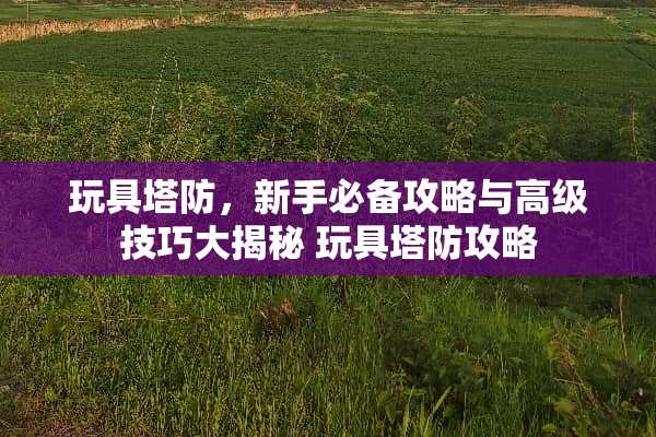 玩具塔防，新手必备攻略与高级技巧大揭秘 玩具塔防攻略