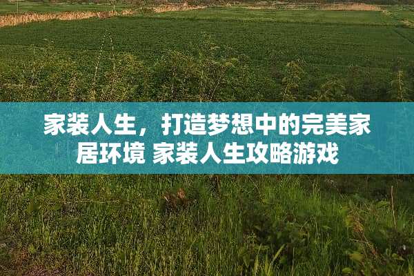家装人生，打造梦想中的完美家居环境 家装人生攻略游戏