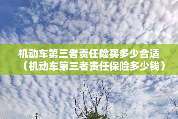 机动车第三者责任险买多少合适（机动车第三者责任保险多少钱）