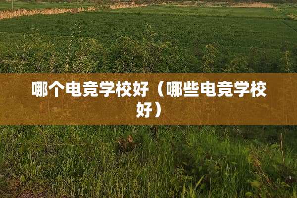 哪个电竞学校好（哪些电竞学校好）