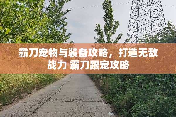 霸刀宠物与装备攻略，打造无敌战力 霸刀跟宠攻略