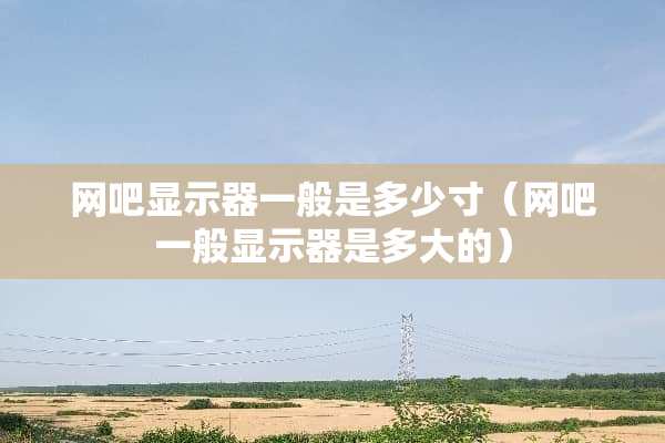 网吧显示器一般是多少寸（网吧一般显示器是多大的）