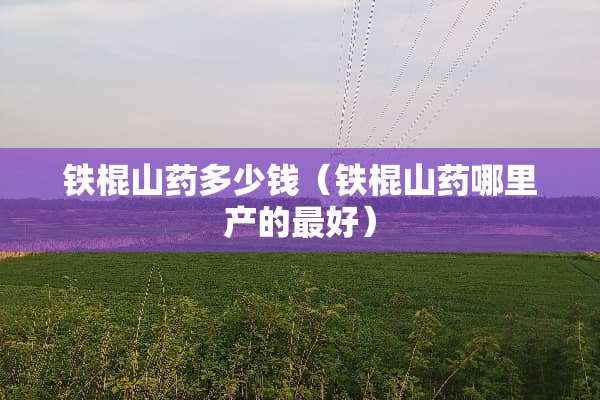 铁棍山药多少钱（铁棍山药哪里产的最好）