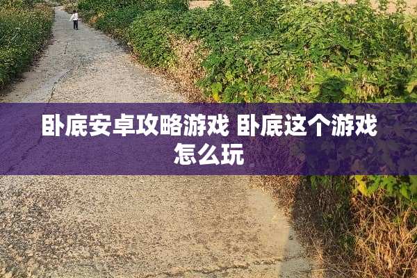 **安卓攻略游戏**这个游戏怎么玩