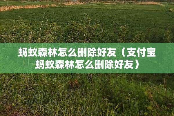 蚂蚁森林怎么删除好友（支付宝蚂蚁森林怎么删除好友）