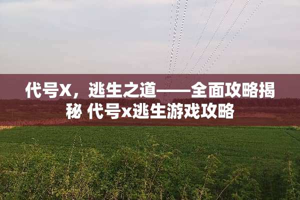 代号X，逃生之道——全面攻略揭秘 代号x逃生游戏攻略